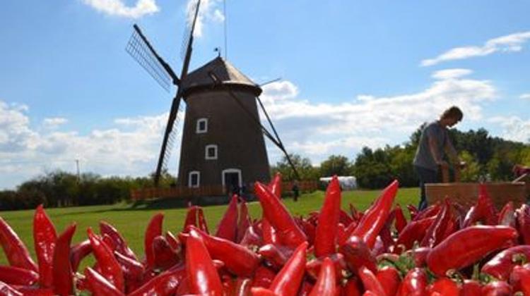 Paprika Day, Ópusztaszer, 15 October