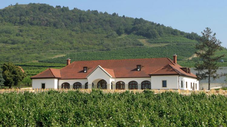 Patricius Winery In Tokaj Named ‘Cellar Of The Year’