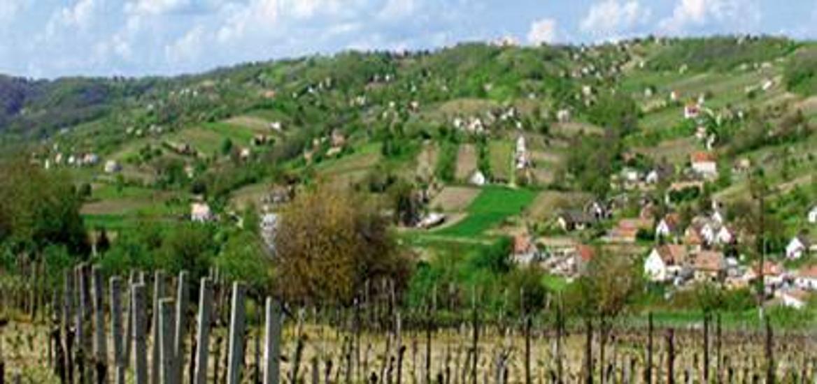 Szekszárd Wine Region Is To Renew Its Image