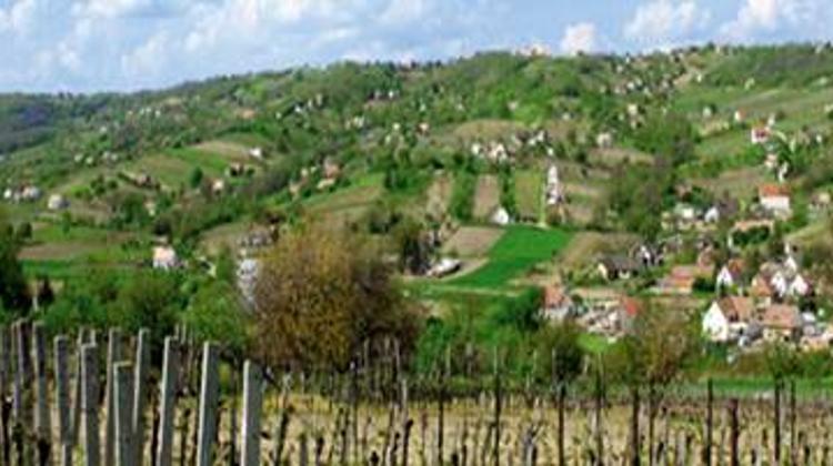 Szekszárd Wine Region Is To Renew Its Image