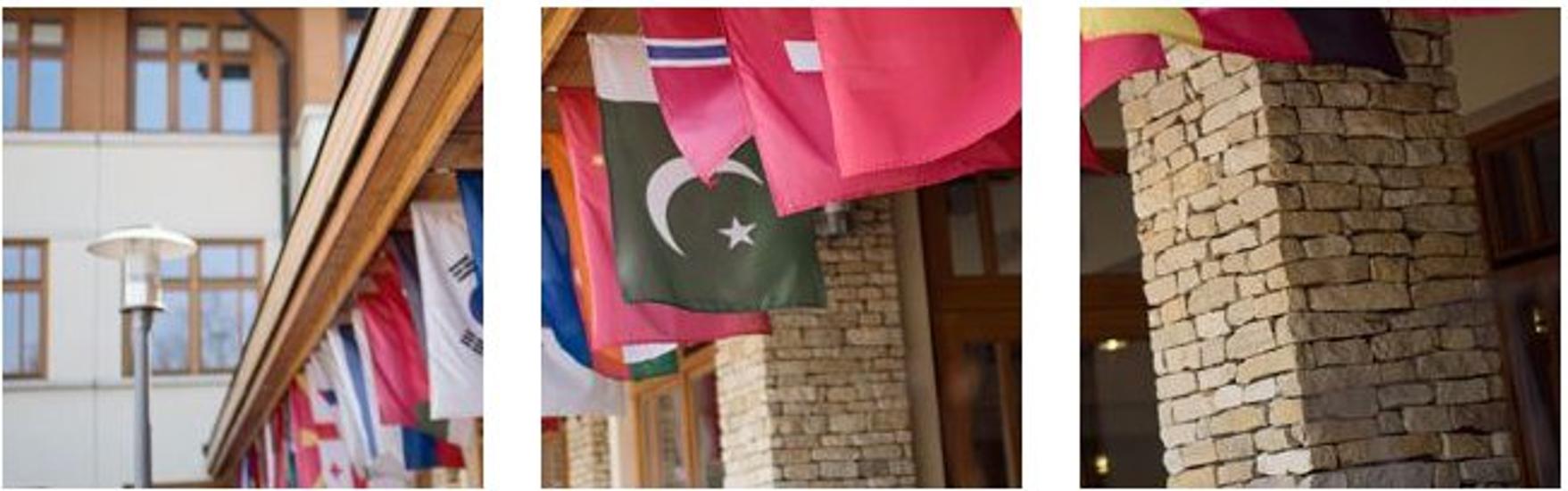 Introducing The International Approach At American International School Of Budapest