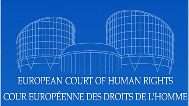 ECHR: Hungary Violates Right Of Access To Information