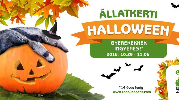 Kids To Visit The Budapest Zoo For Free Until 6 November