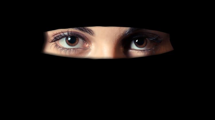 Hungary’s Islamic Community Calls On Court To Investigate Decree Banning Burka