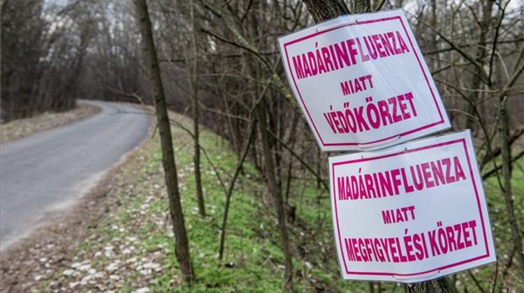 Three Hungarian Counties Dealing With Bird Flu Threat