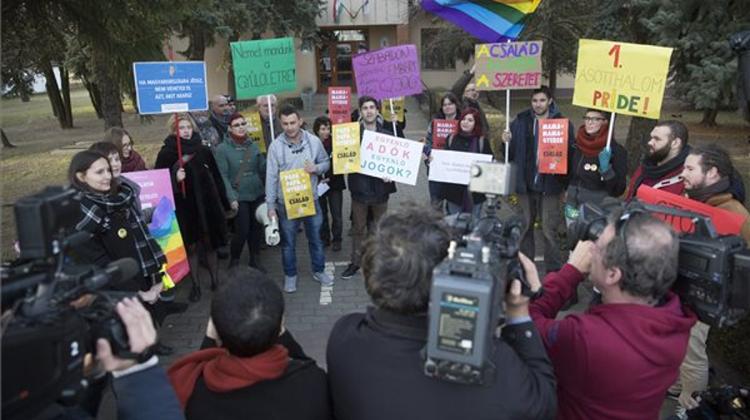 Activists Protest Hungarian Village Council Decree