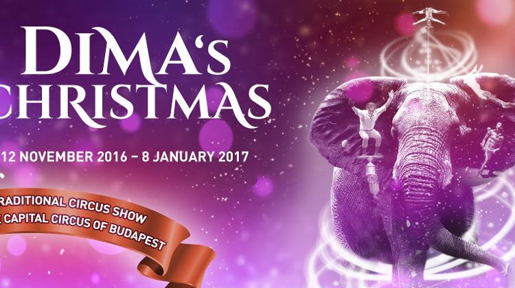 Now On: Dima’s Christmas, Budapest Circus