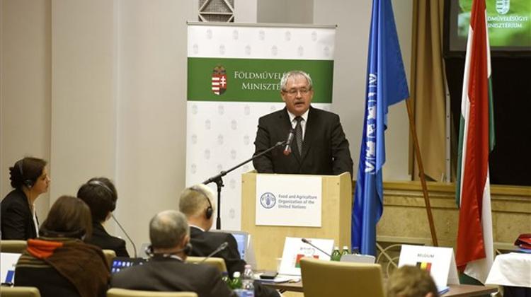 Remote Court Hearings From 2018