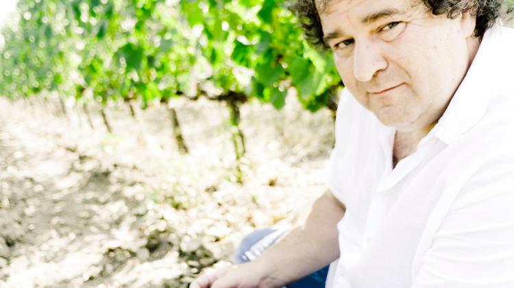 Introducing Grand Tokaj Winery