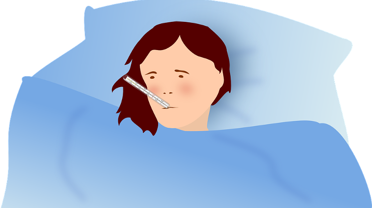 Hungarian Health Authority Declares Flu Epidemic