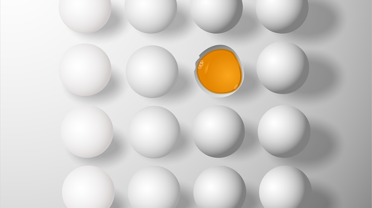 Price Pressure On Eggs Due To Bird Flu