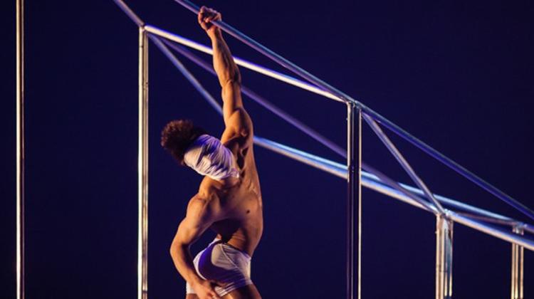 Compagnie Pál Frenák: Birdie, Festival Theatre, 1 February