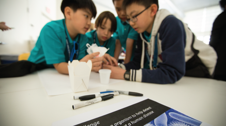 The British International School: Unveiling An Innovative Approach To Teaching Science & Technology