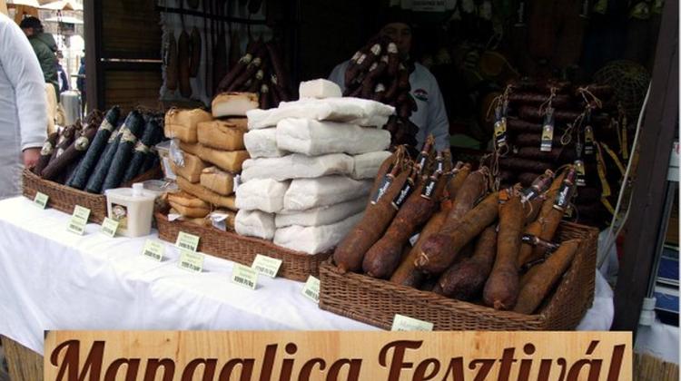 Video: Mangalica Festival In Budapest, 10 - 12 February