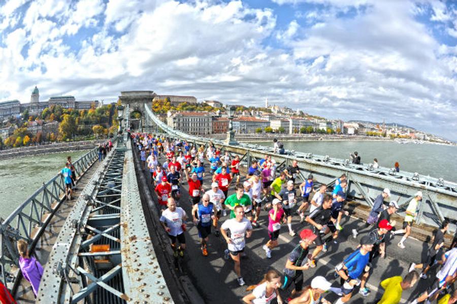Upcoming International Sports Events In Hungary
