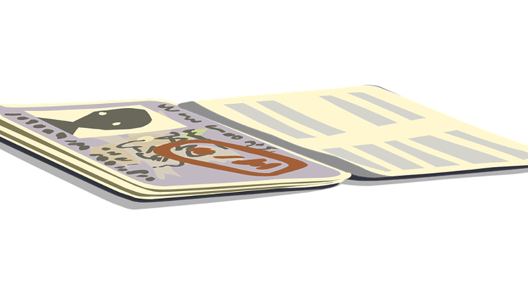 No Visa Abuses Committed Under Szijjártó