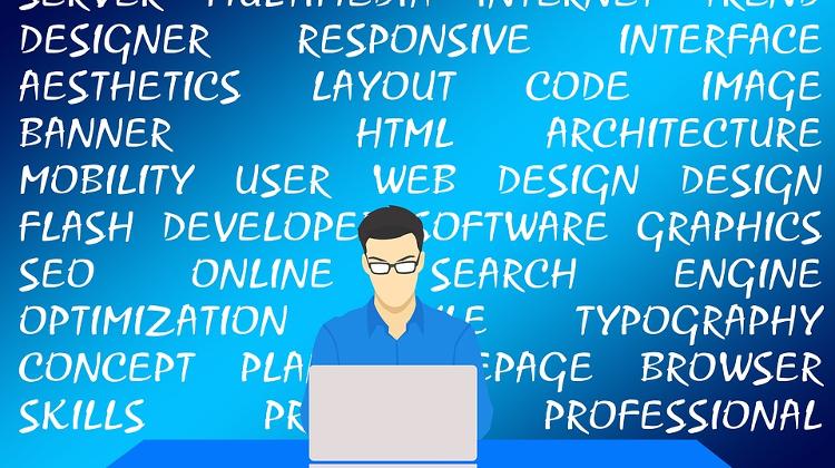 EC: Hungary Digital Skills Still Under EU Average