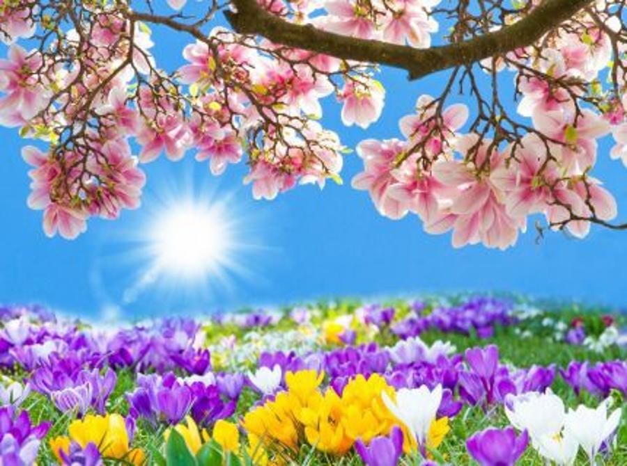 Let's Wait For The Spring - Last Minute Weekdays In Hotel Pelion