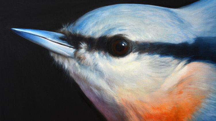 Beata Szekely Exhibition Opening, Ari Kupsus Gallery, 16 March