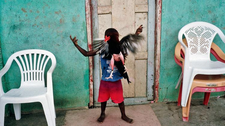 Budapest Photo Festival, On Until 30 April