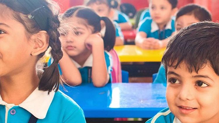 Local Opinion: Government To Reform Primary Education