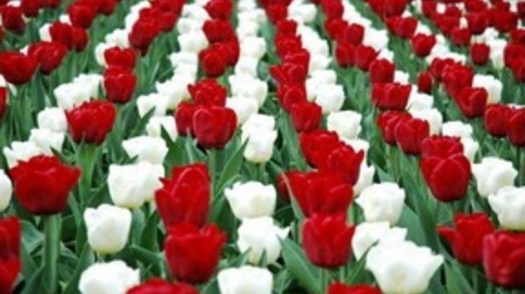 Holiday Opening Hours At Budapest Markets On 15 March