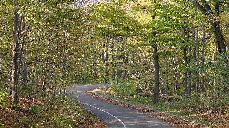 Hungary To Change Forestry Laws To Tackle Climate Change