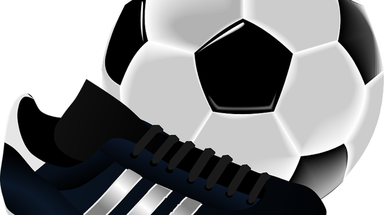 Corporate Sport Donations To Be Public