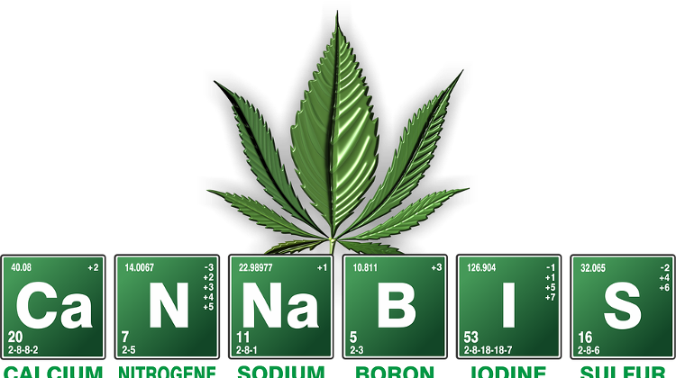 Discussion On Cannabis For Medicine Should Start In Hungary, Says Toxicologist