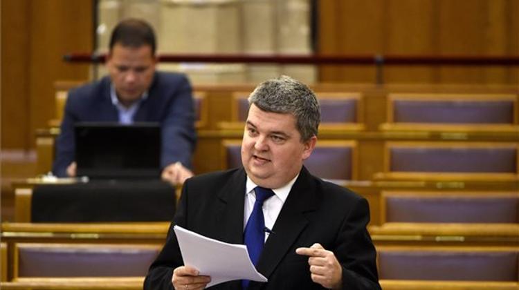 Czibere: Images Do Not Support Disabled Home Abuse Allegations