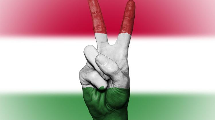 Hungarian Voters Rate Democracy