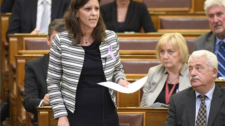 Opposition Criticise Orbán For Neglecting Education, Health Care