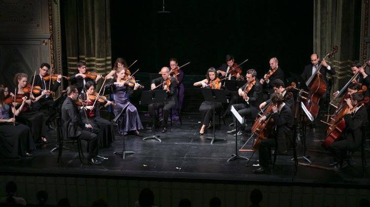 Anima Musicae Chamber Orchestra Celebrates 7 Years On 20 June