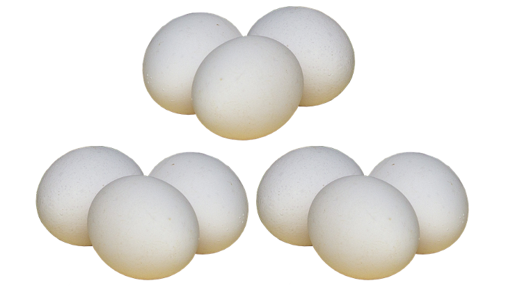 Food Safety Authority Orders Removal Of Infected Egg Products