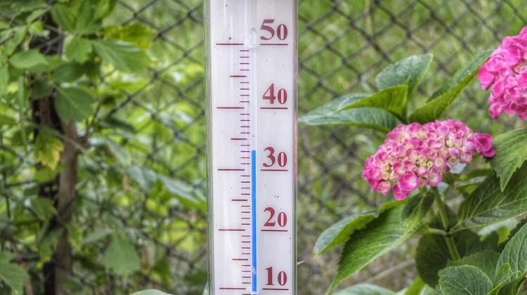 Heat Alert Issued Until Friday