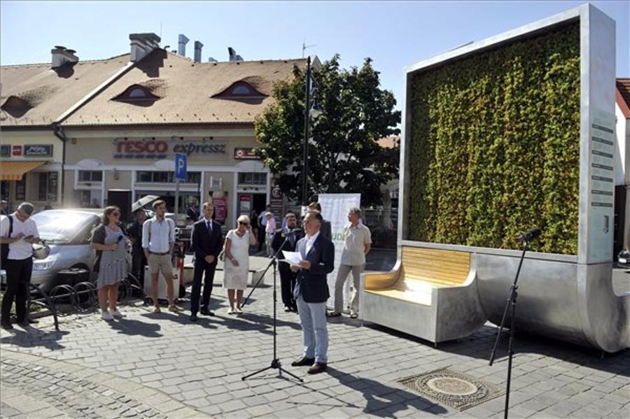 Air-Filtering Moss Wall Installed In Kolosy Square