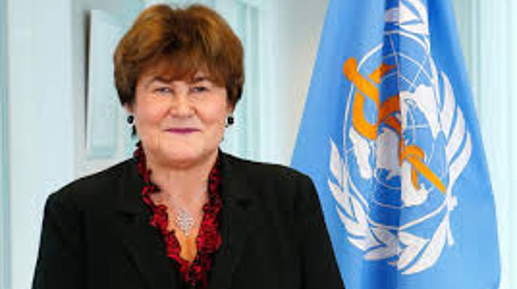 World Health Organisation To Hold Regional Committee Meeting In Budapest