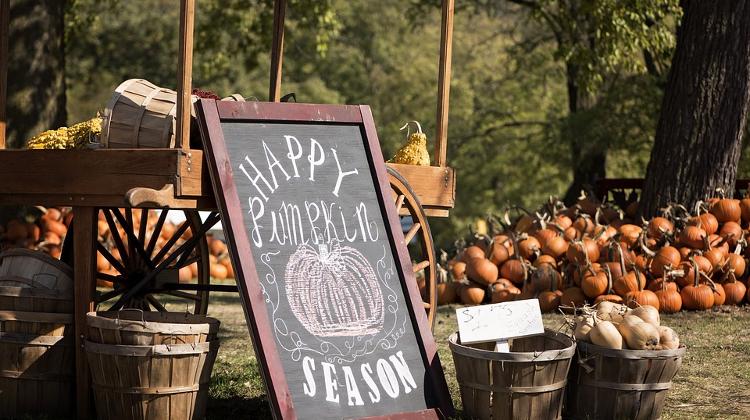 'Pumpkin & Mulled Wine Festival', Ráday Utca, 28 October