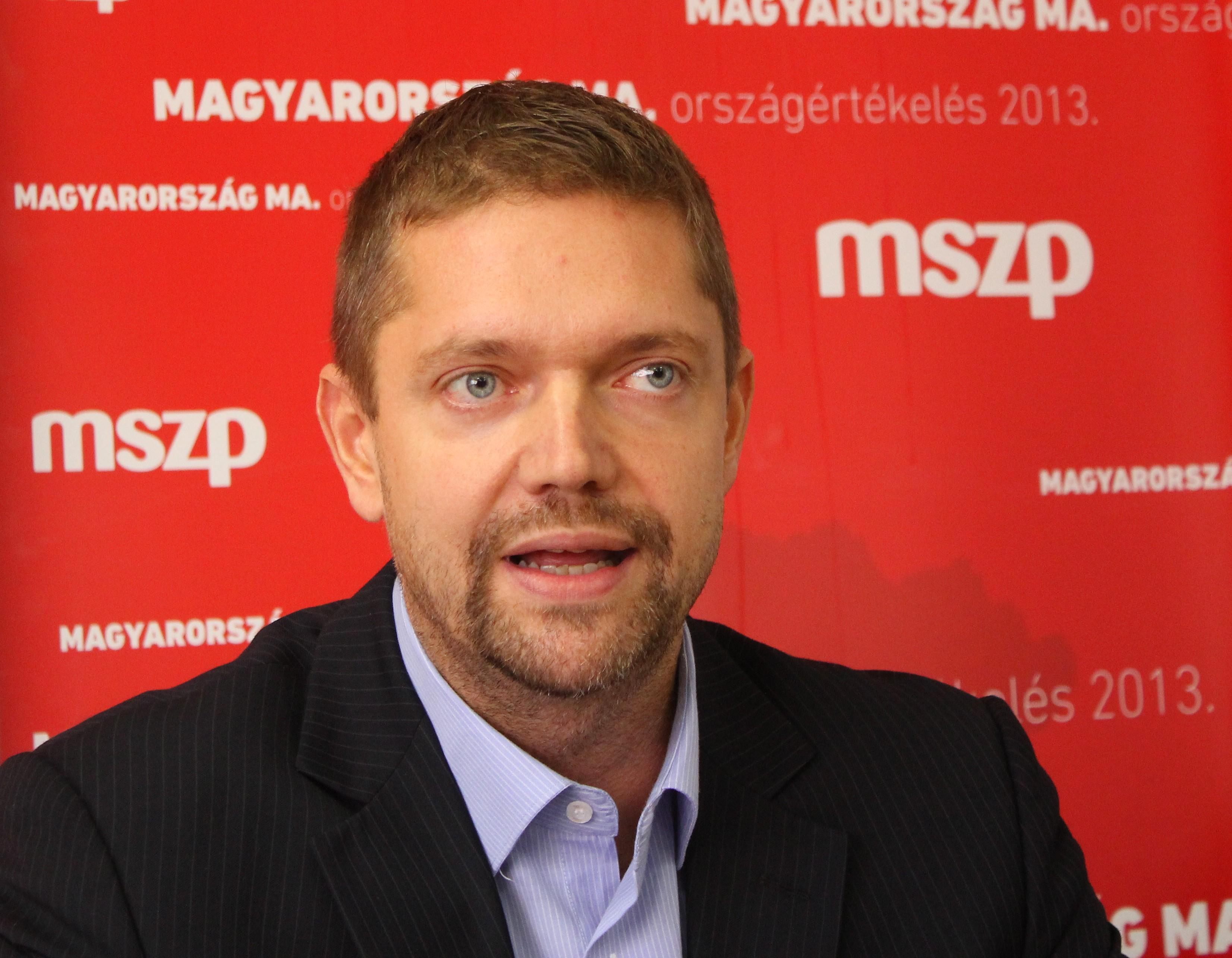 Socialists To Reduce Parliamentary Activity Till Election