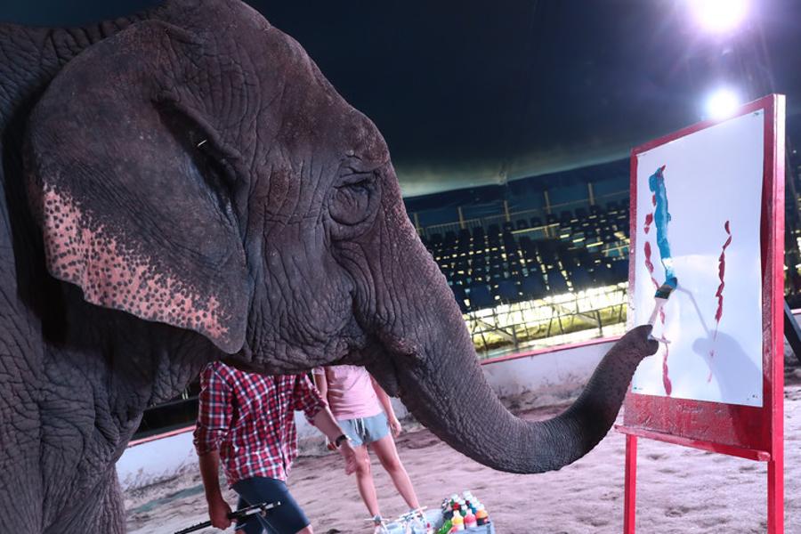 Circus Auctions Off Elephant’s Paintings