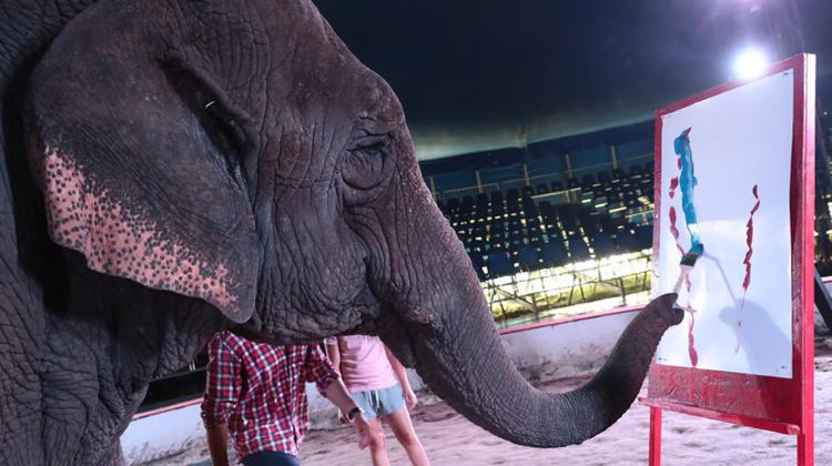 Circus Auctions Off Elephant’s Paintings