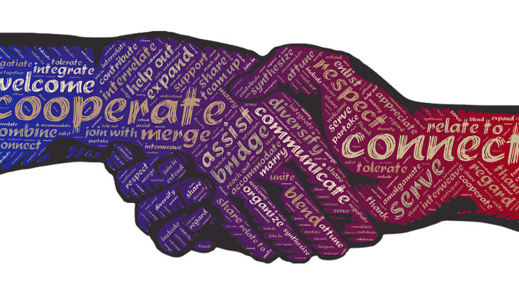 Local Opinion: One Million Non-Resident Hungarians Naturalized