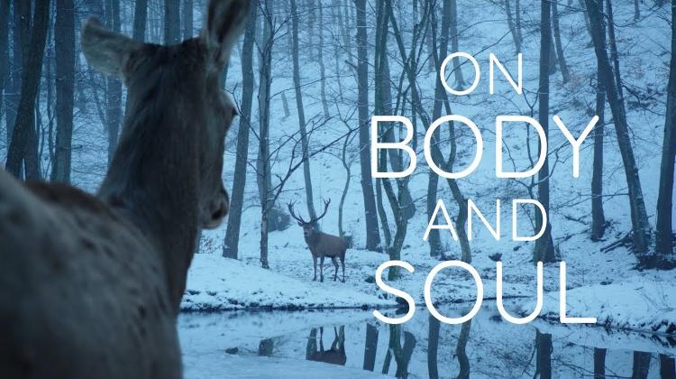 On Body And Soul Shortlisted For Oscar 2018